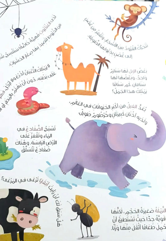 كلماتي الأولى من القرآن الكريم